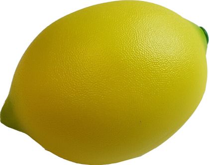 Scott Shaker Lemon