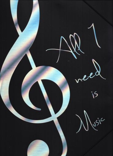 Папка  ''ALL I NEED IS MUSIC'' SILVER