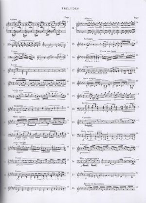 Chopin - Preludes for piano