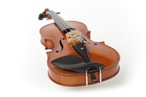 Camerton Master Violin, professional hand craftsmanship CVH500  4/4