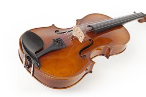 Camerton майсторска виола