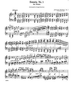 Brahms - Complete works vol.1