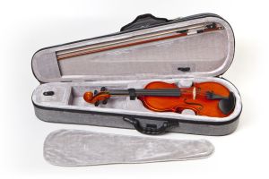 Camerton Violin VM125  4/4