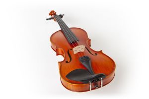 Camerton Violin VM125  4/4