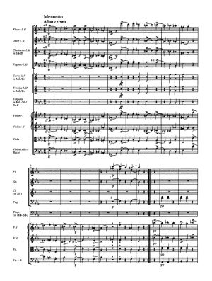 Schubert Symphony no. 4 in C minor D 417 "Tragic"