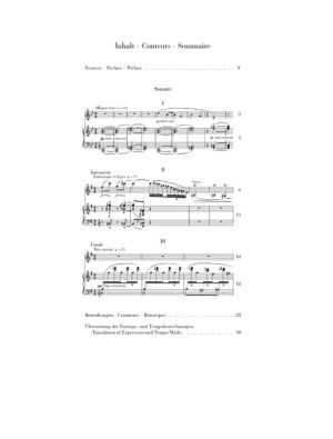 SONATA FOR VIOLIN AND PIANO IN G MINOR