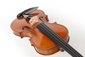 Camerton Master Violin, professional hand craftsmanship CVH500  4/4