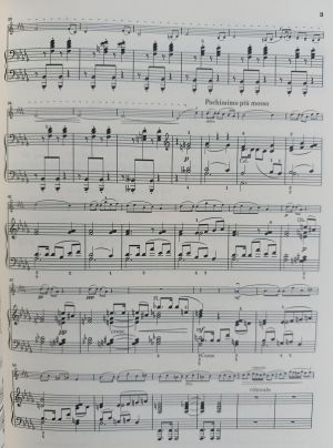 Tschaikowsky Works for Violin and Piano